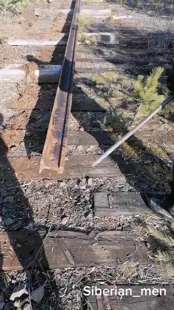 @Сибирский металокоп_38
