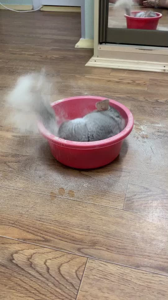 @Олечка