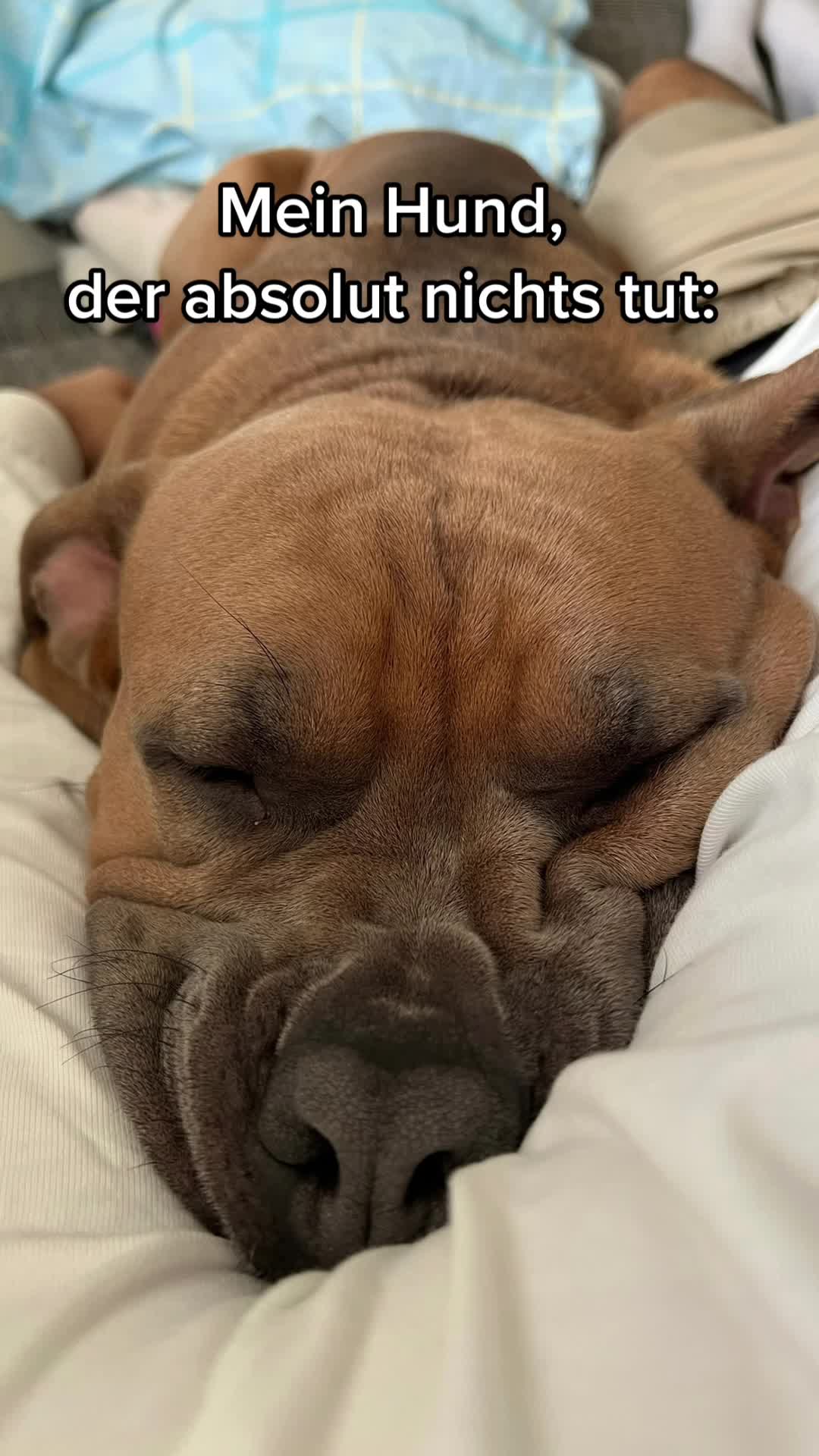 @lifeofpacoo