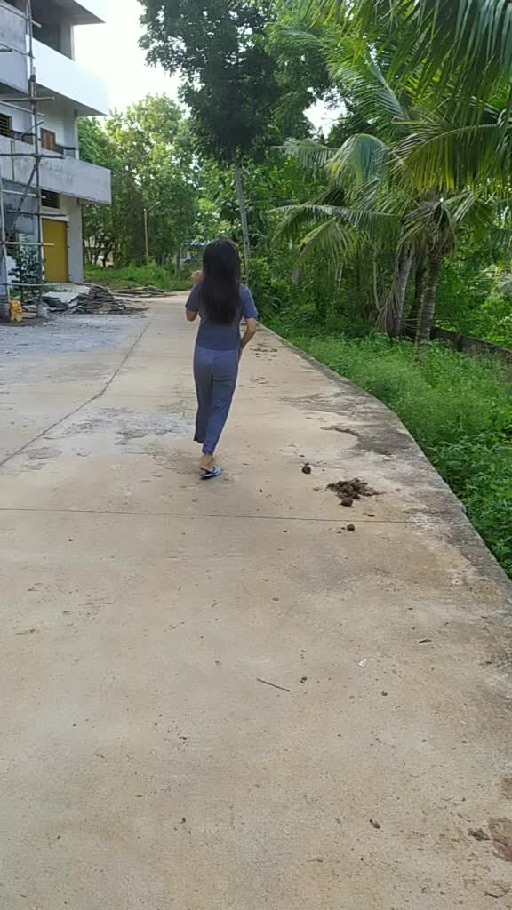 @Alibo Zhimolimi
