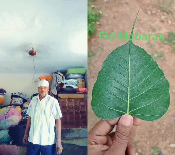 @rahul jacker jagdish