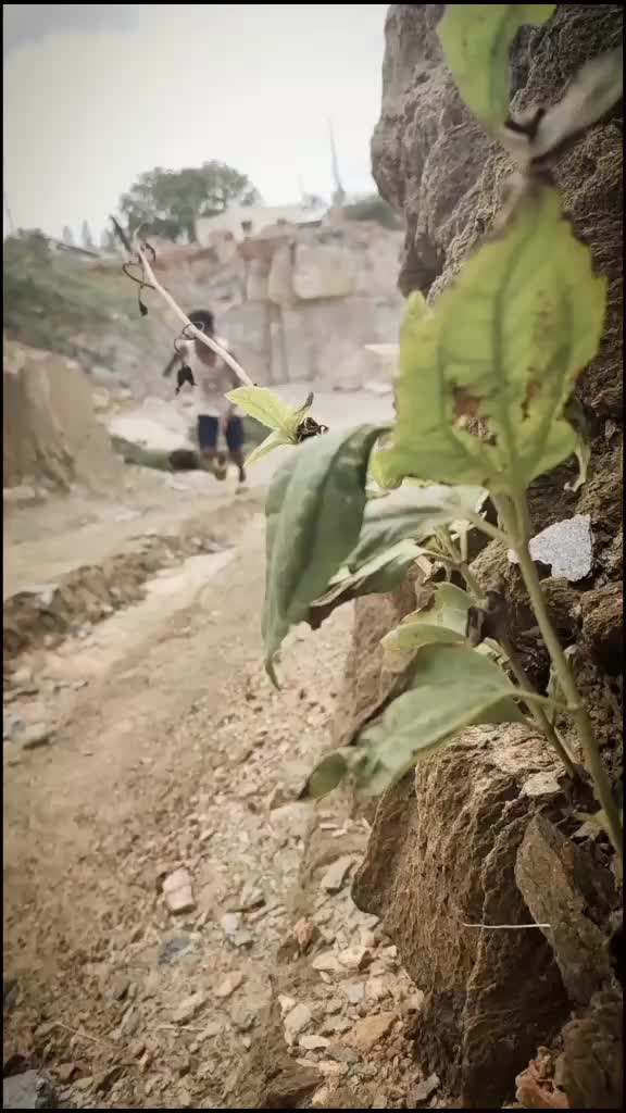 @JÀyÀÑTH---+D