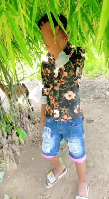 @user6053247170754