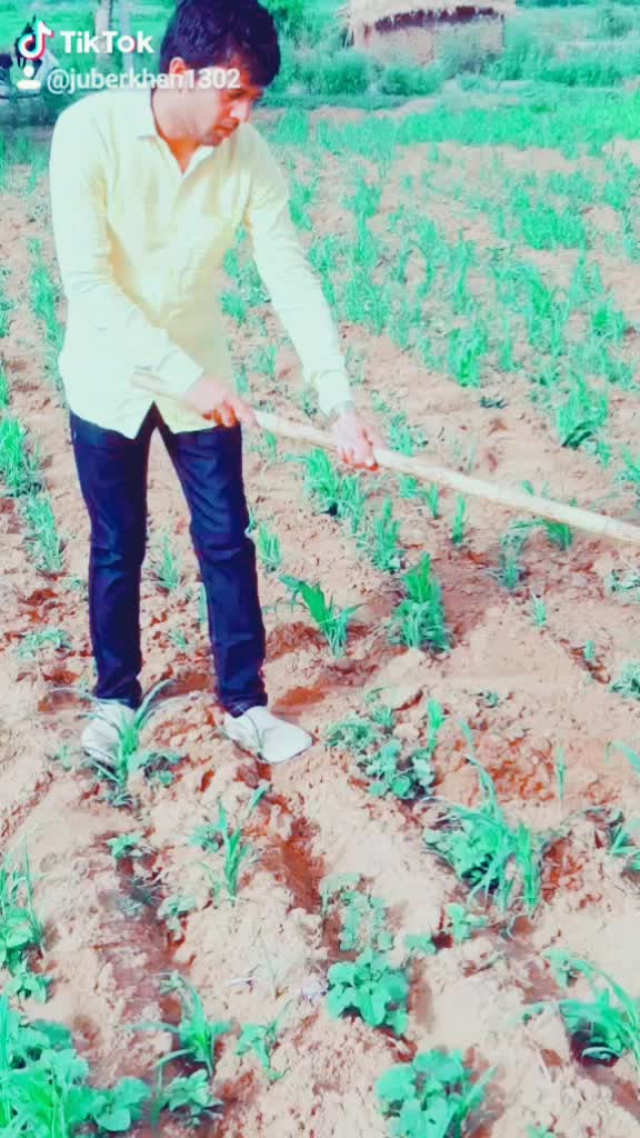 @Juber Khan