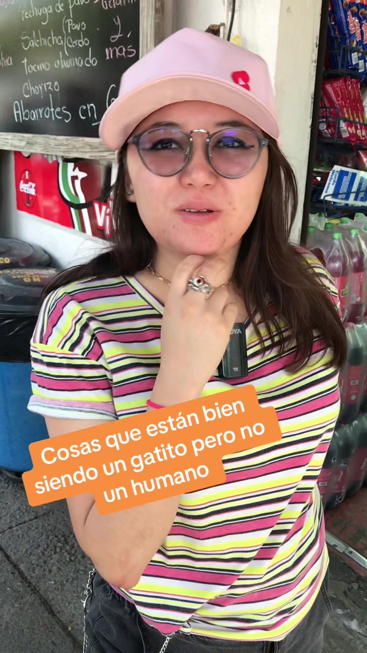 @ComunidadDelCerdito