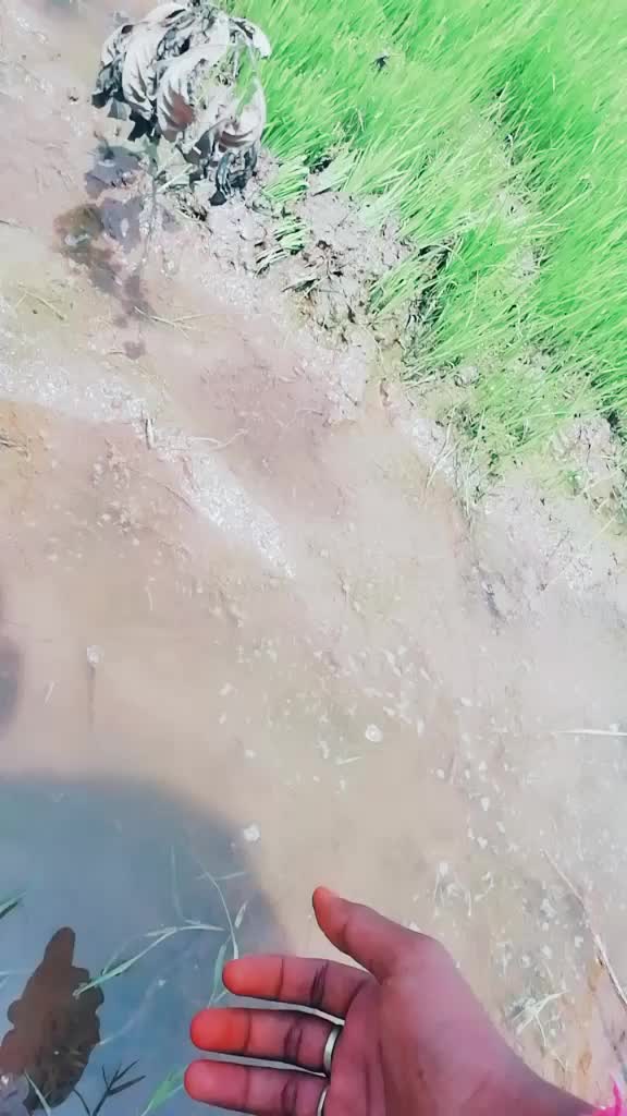 @suri nani