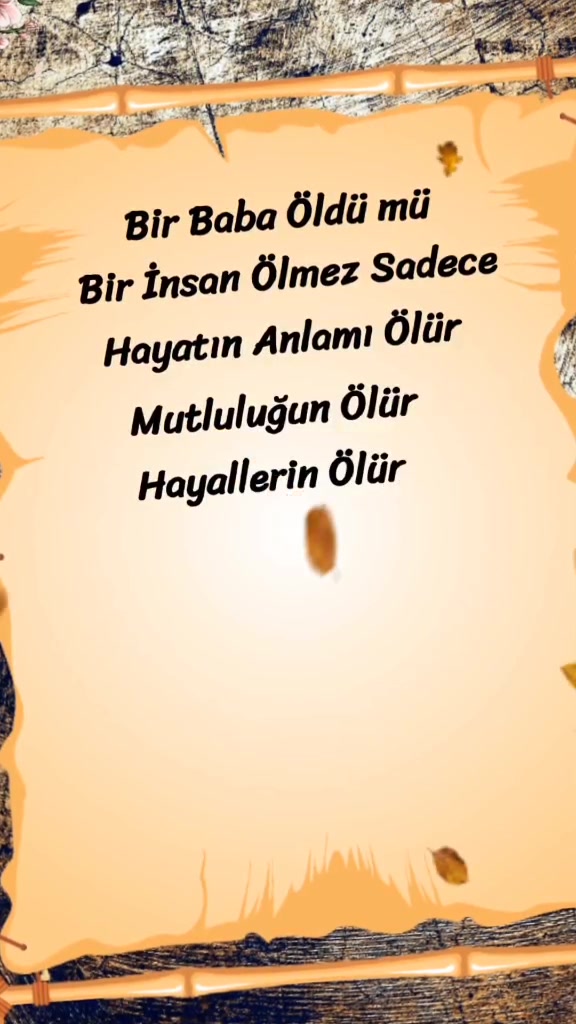 @kelebeğin d&uuml;nyası