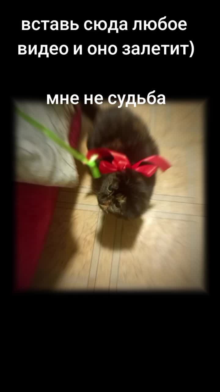 @🍇‹“Ежᴇʙиᴋᴀ”›🌟
