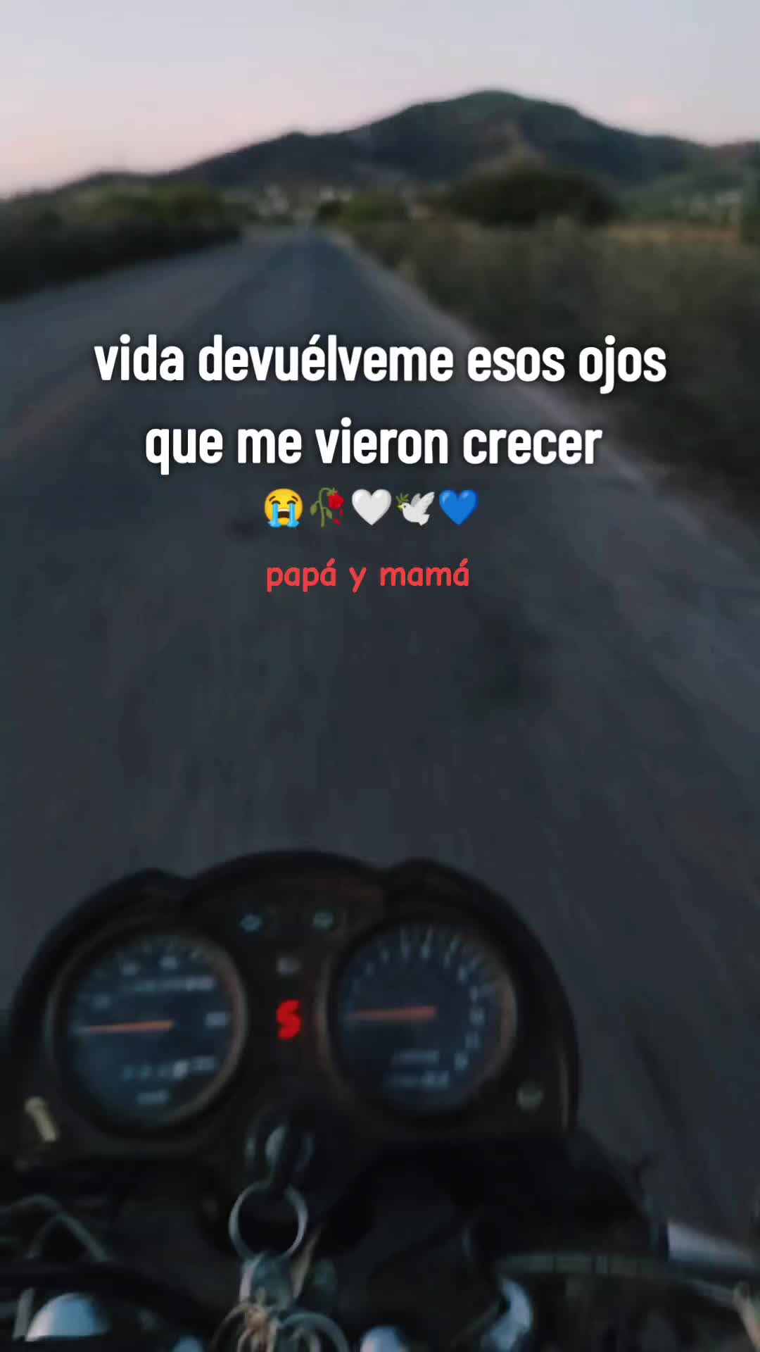 @Dbmts