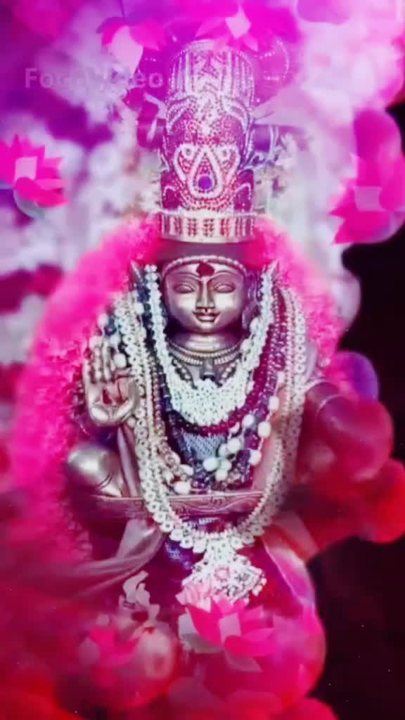 @Hari 1230