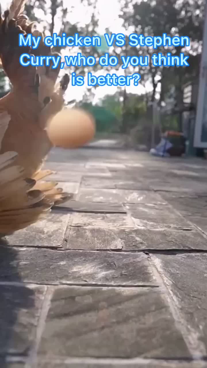 @Fun took