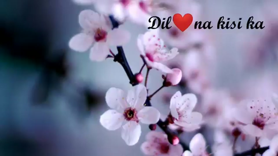 @Md Faisal