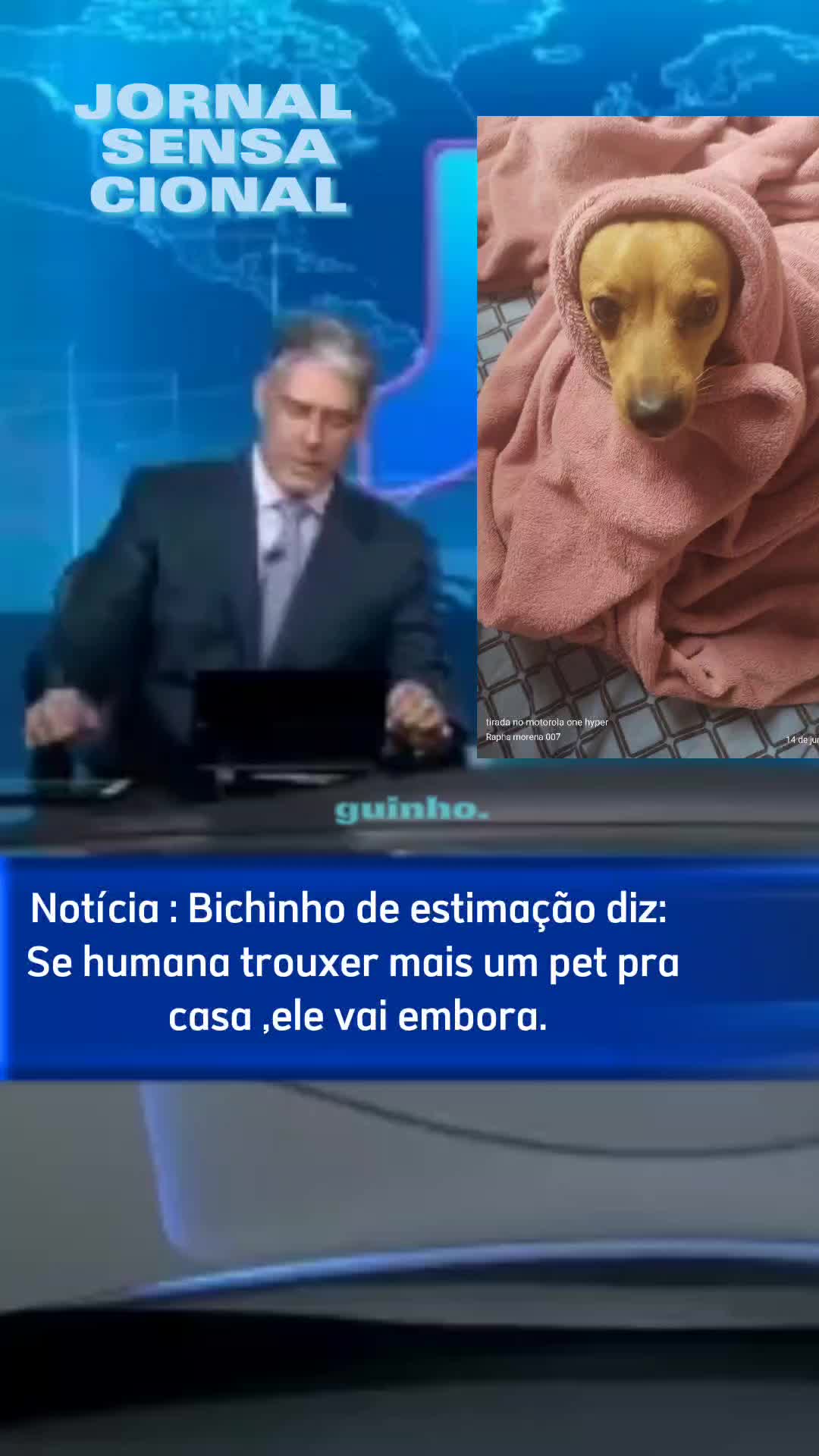 @Rafaela Bolsonarista Raíz