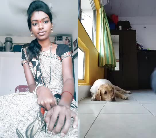 @ravinaborse9588