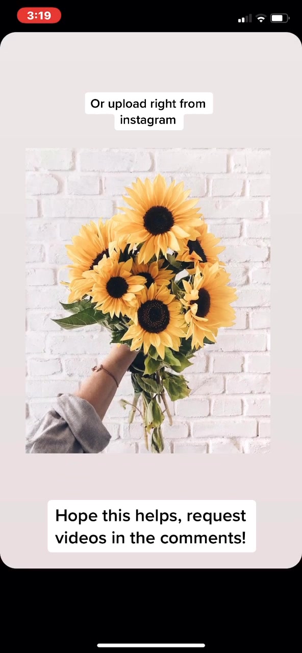 @Instagram stories 🌻