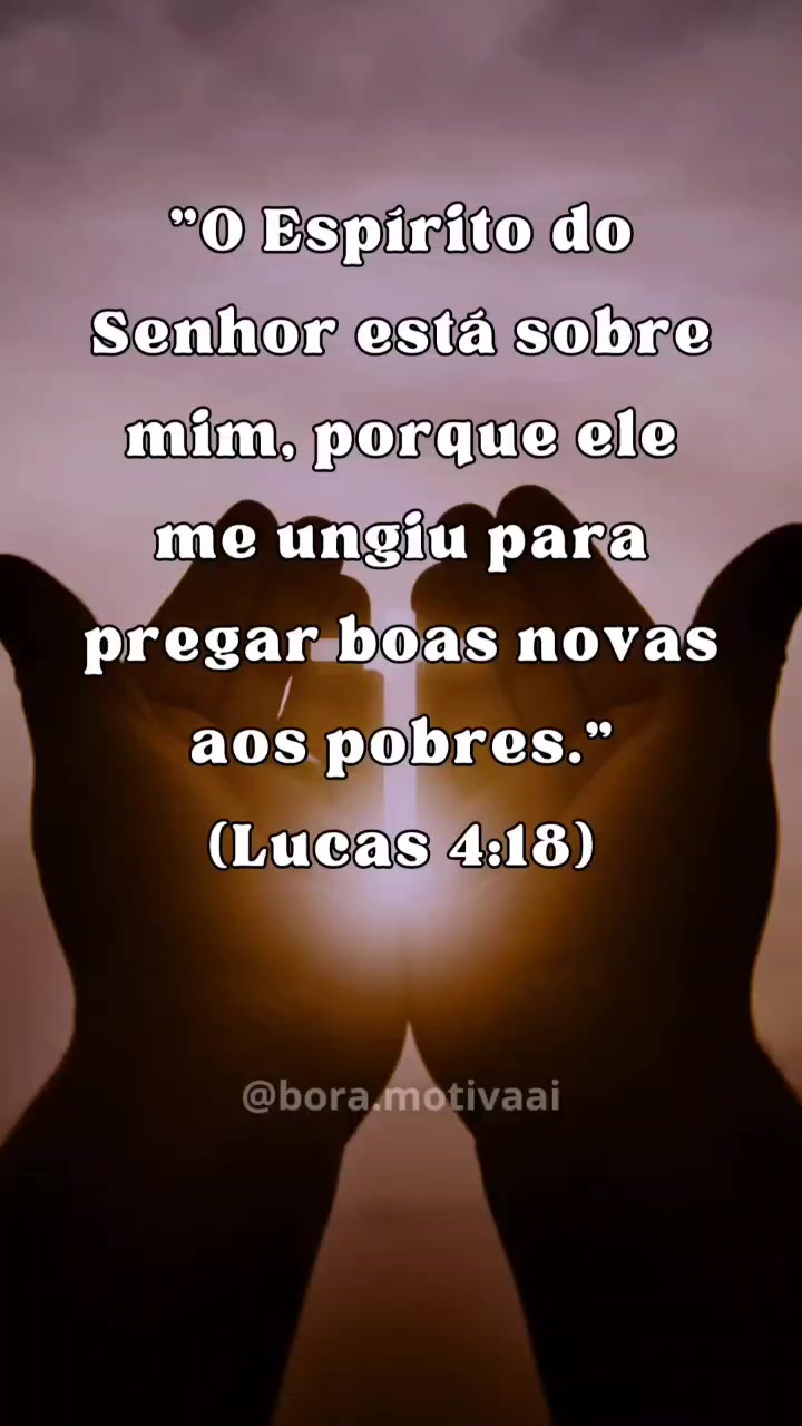 @Bora Rezar