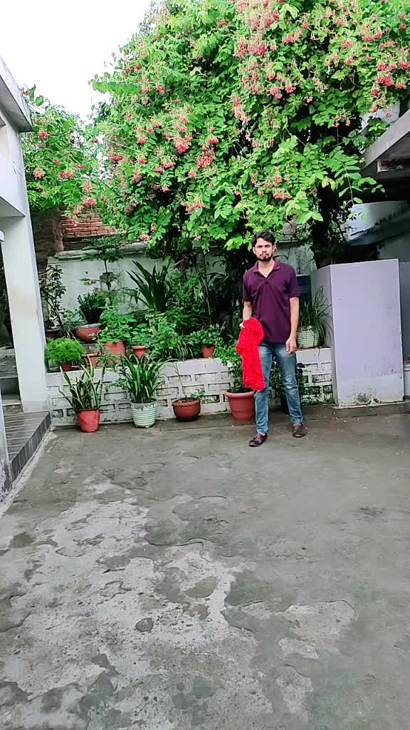 @vikrant singh