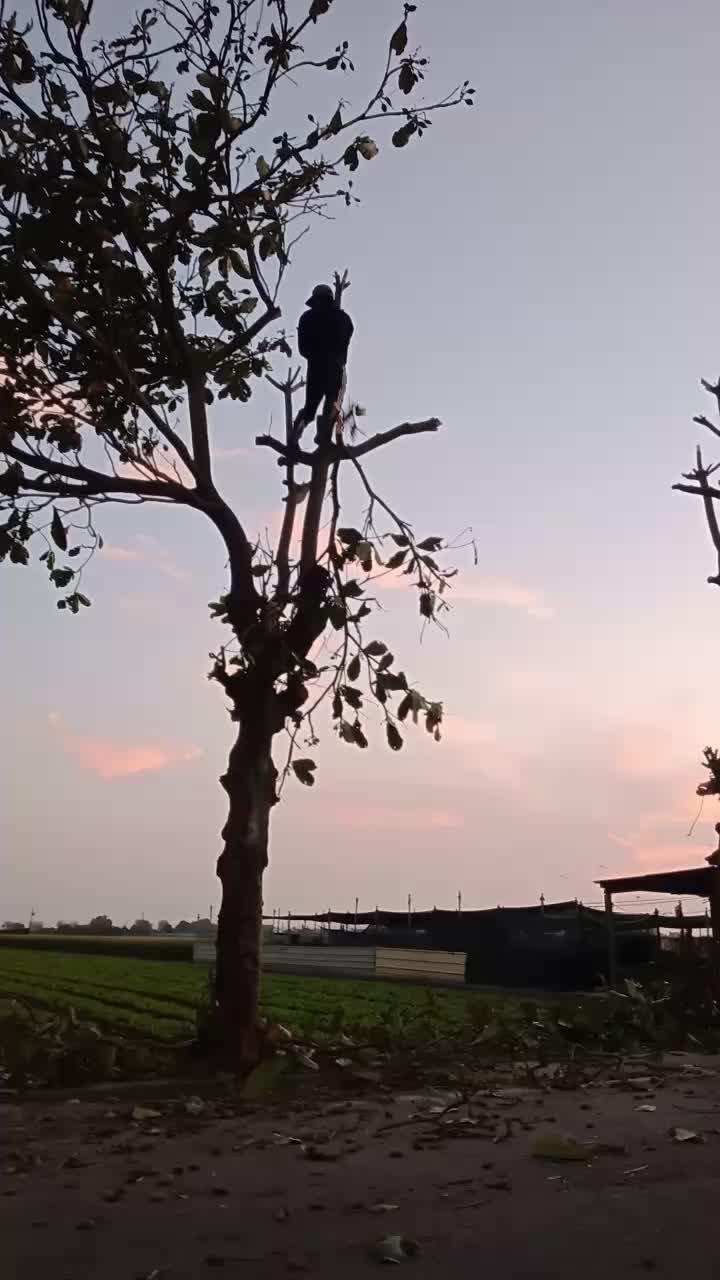 @Mười Tám Vũ
