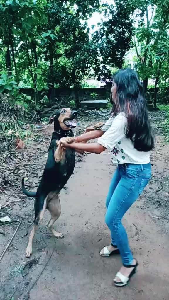 @Ananya Dev