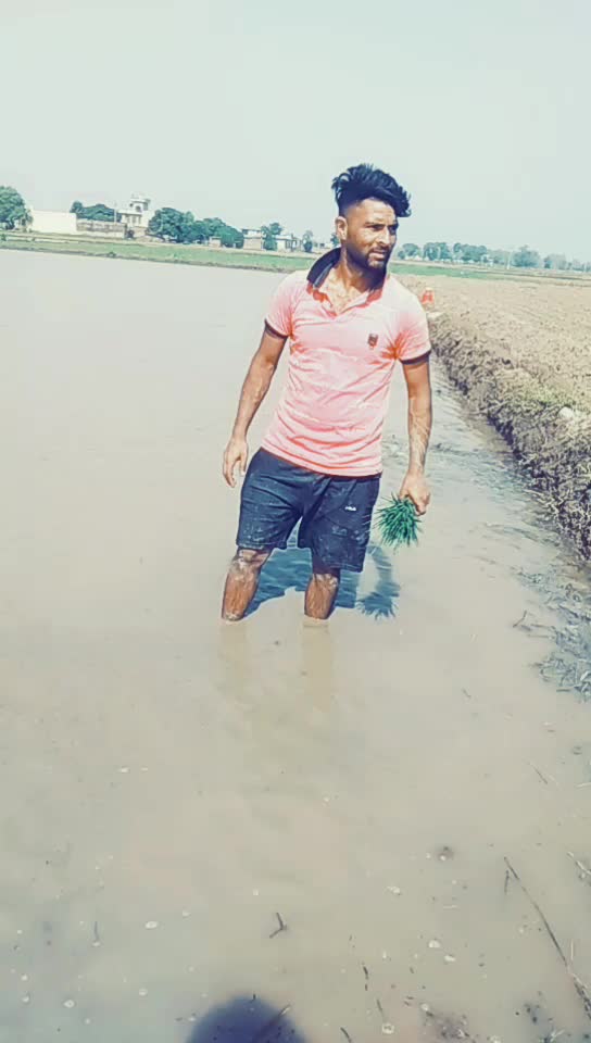 @ms0178583