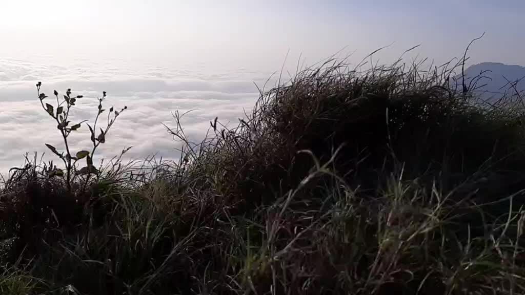 @yuvaraj