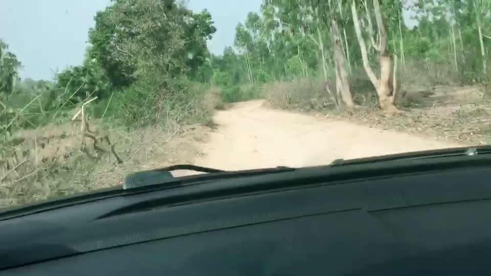 @Psychorider