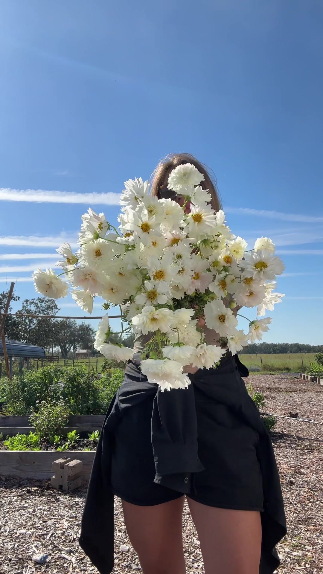 @Kristina | Flowers & Glass art