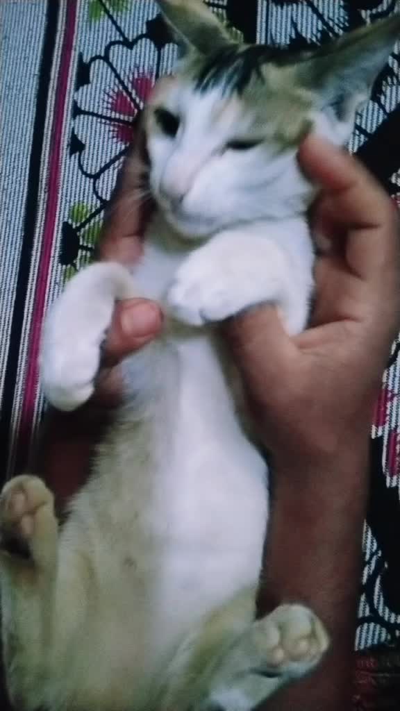 @Abdul Latheef