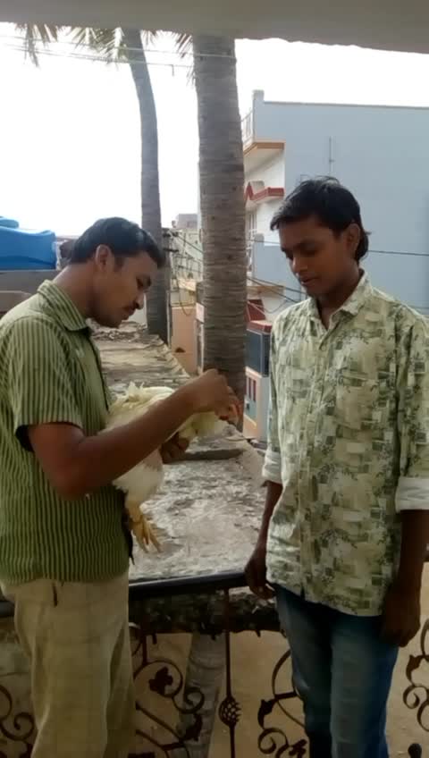 @lokesh puridi