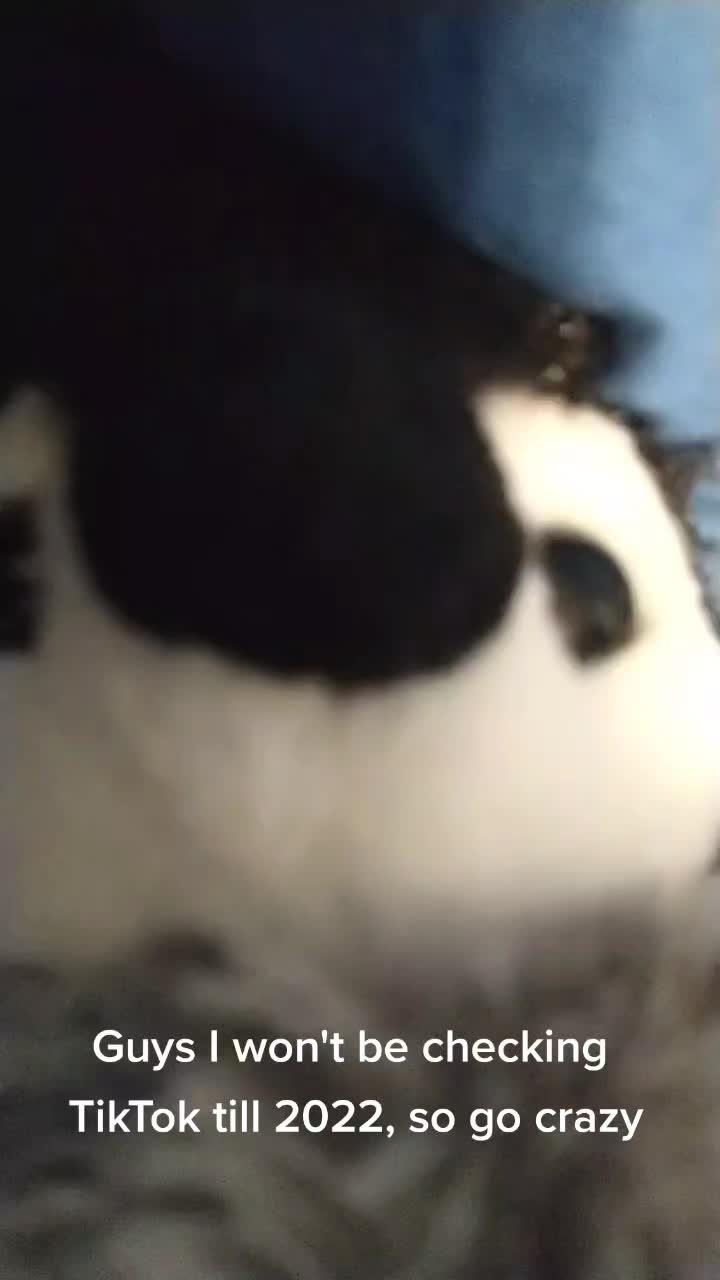 @ThePenguinRob