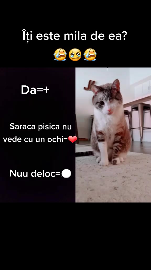 @⤴D&euml;n&iuml;s&auml;⤵