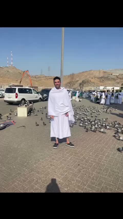 @Ayman Saied