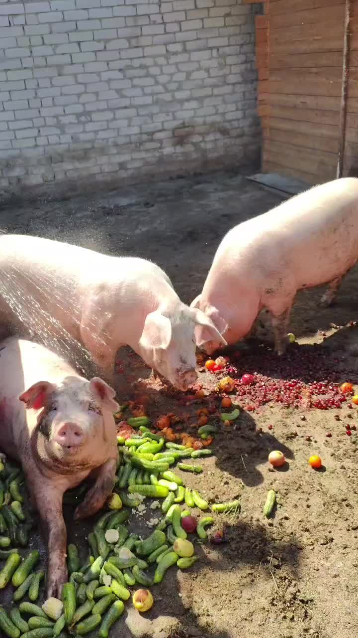 @Психолог на кухне Затока