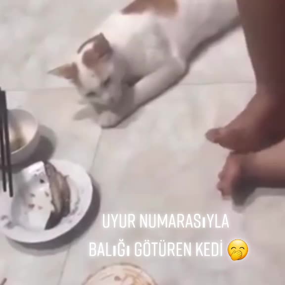 @Seval 70