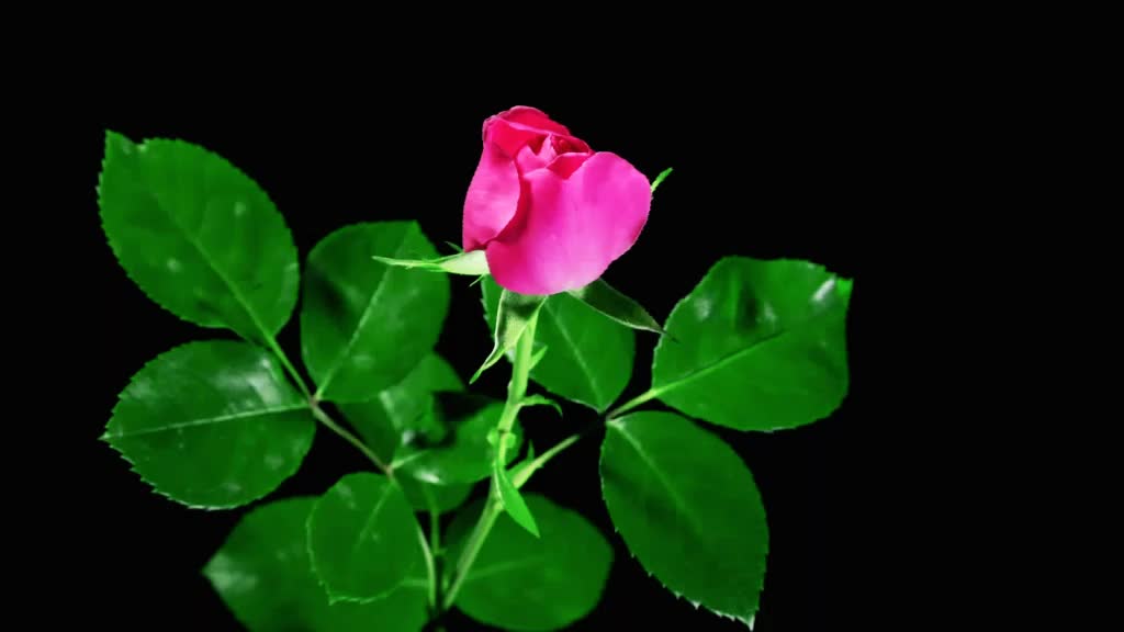 @Kedar Das