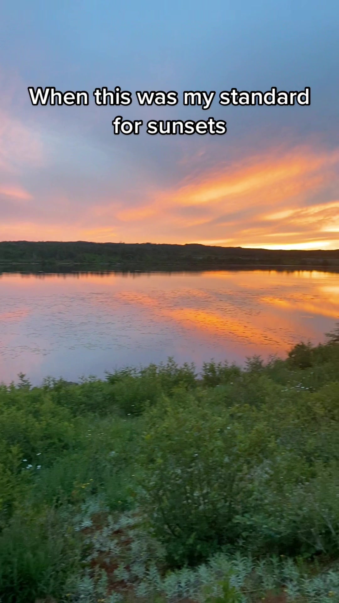 @🇨🇦 Tanya🌻