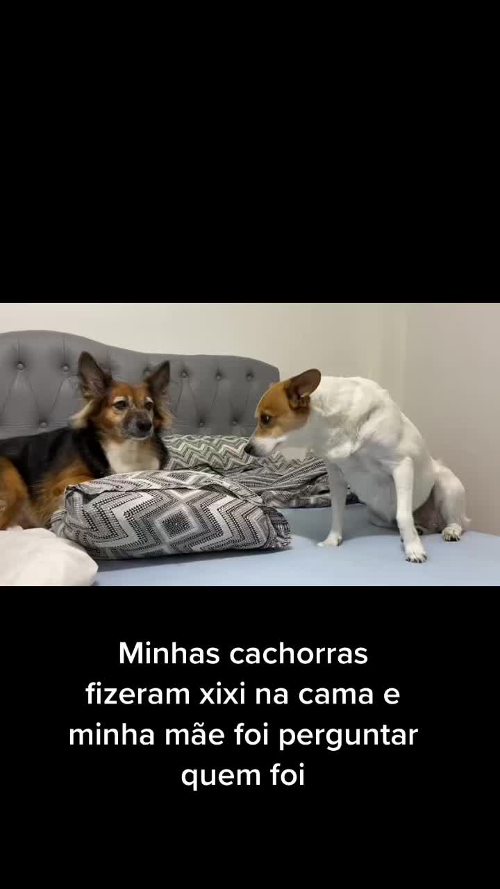 @Luiza Gomes