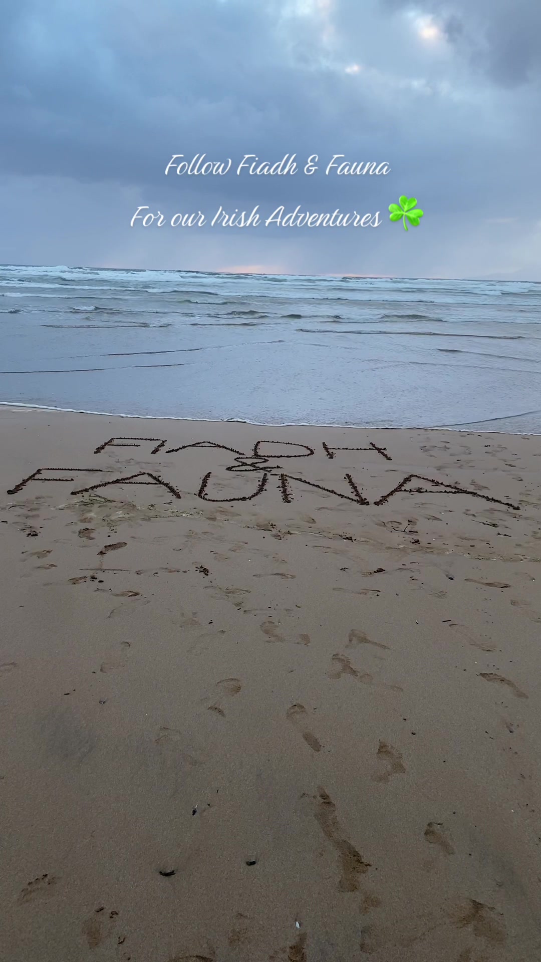 @FiadhandFauna