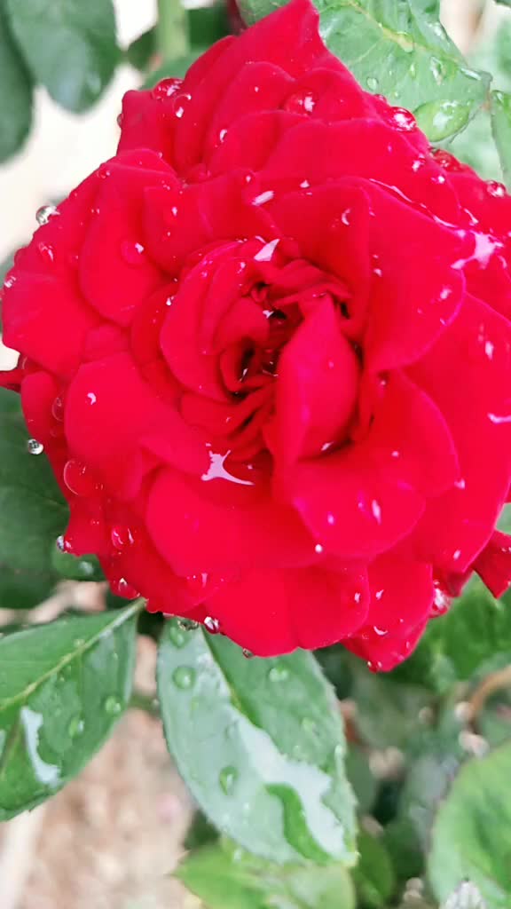 @Bhavya Chandu Bhavya