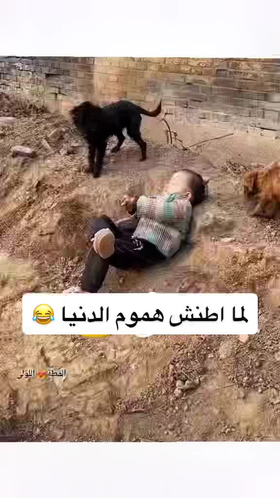 @🇪🇬WAEL_KHALIFA🇶🇦