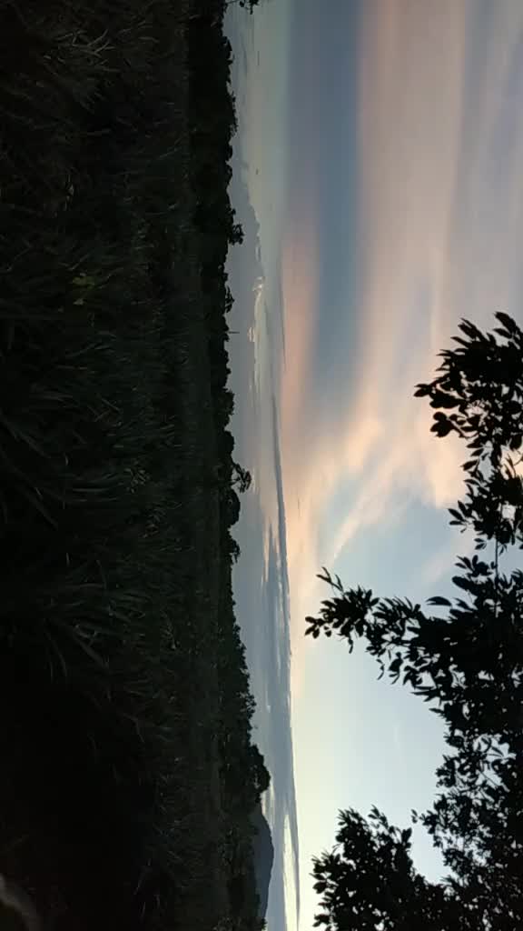 @user2019831926667