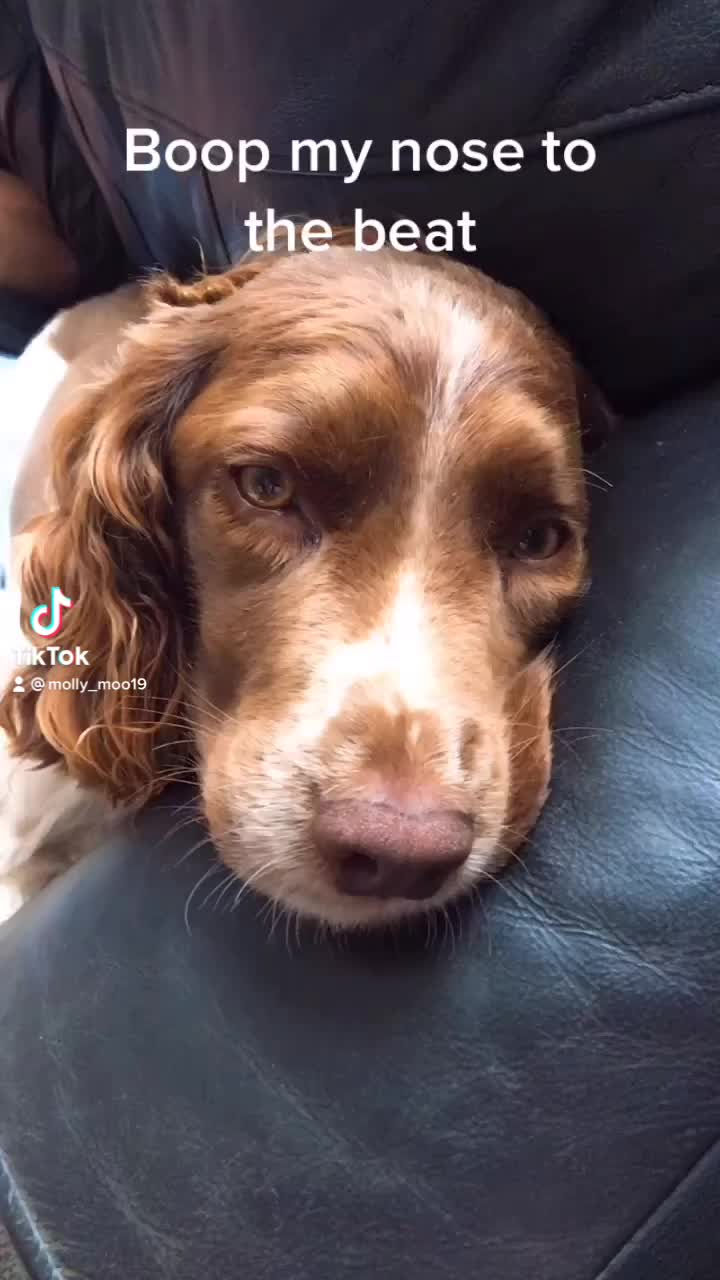 @🐶Molly🐶