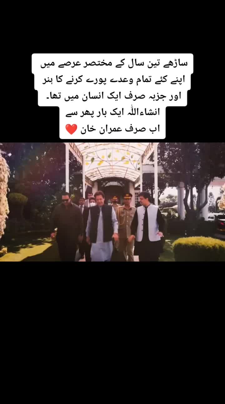 @Cornered Tigers