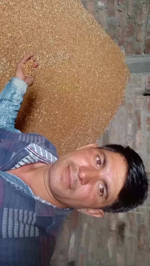 @Raja Patel
