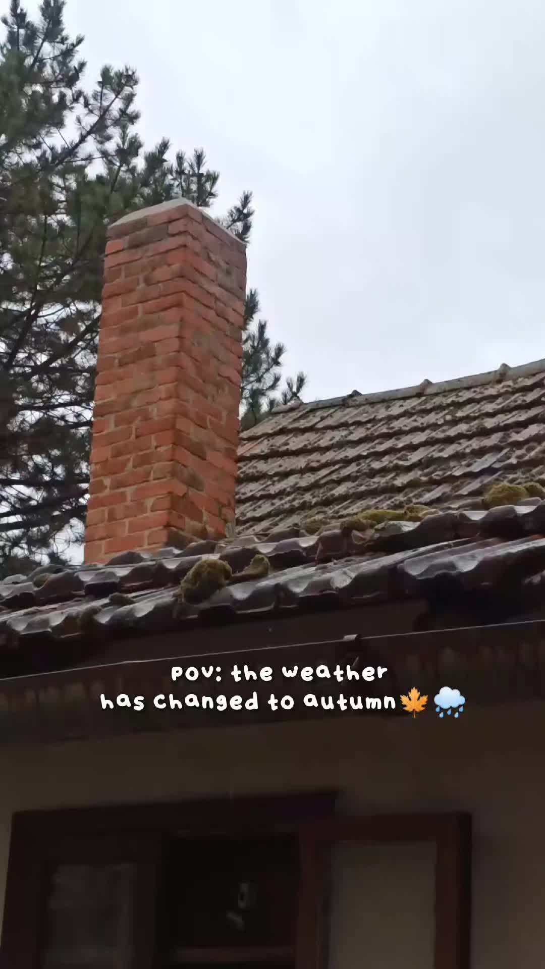@Polina ⭐