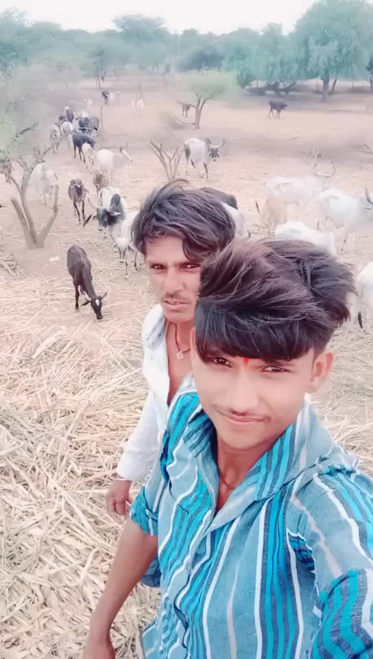 @Bharat Majiyatar42