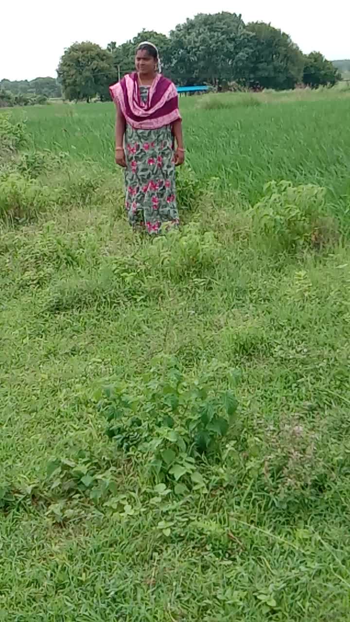 @user7395624499019