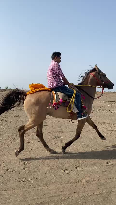 @Dhanrajsinh Bhadiyad