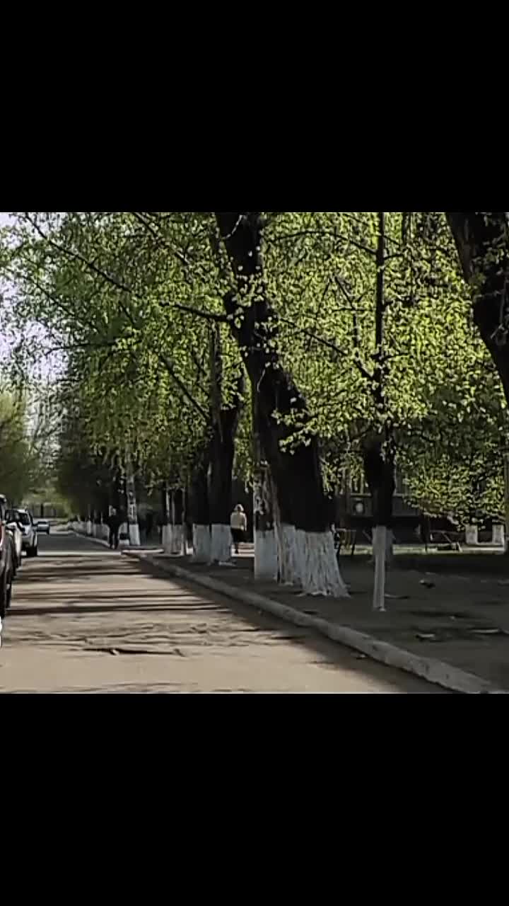 @Пёс