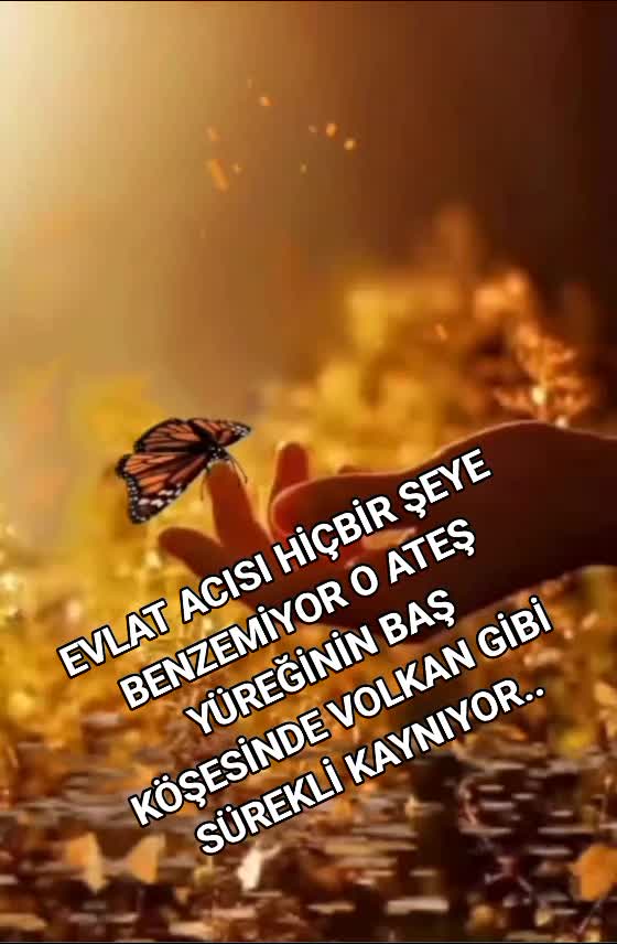 @siyah gece